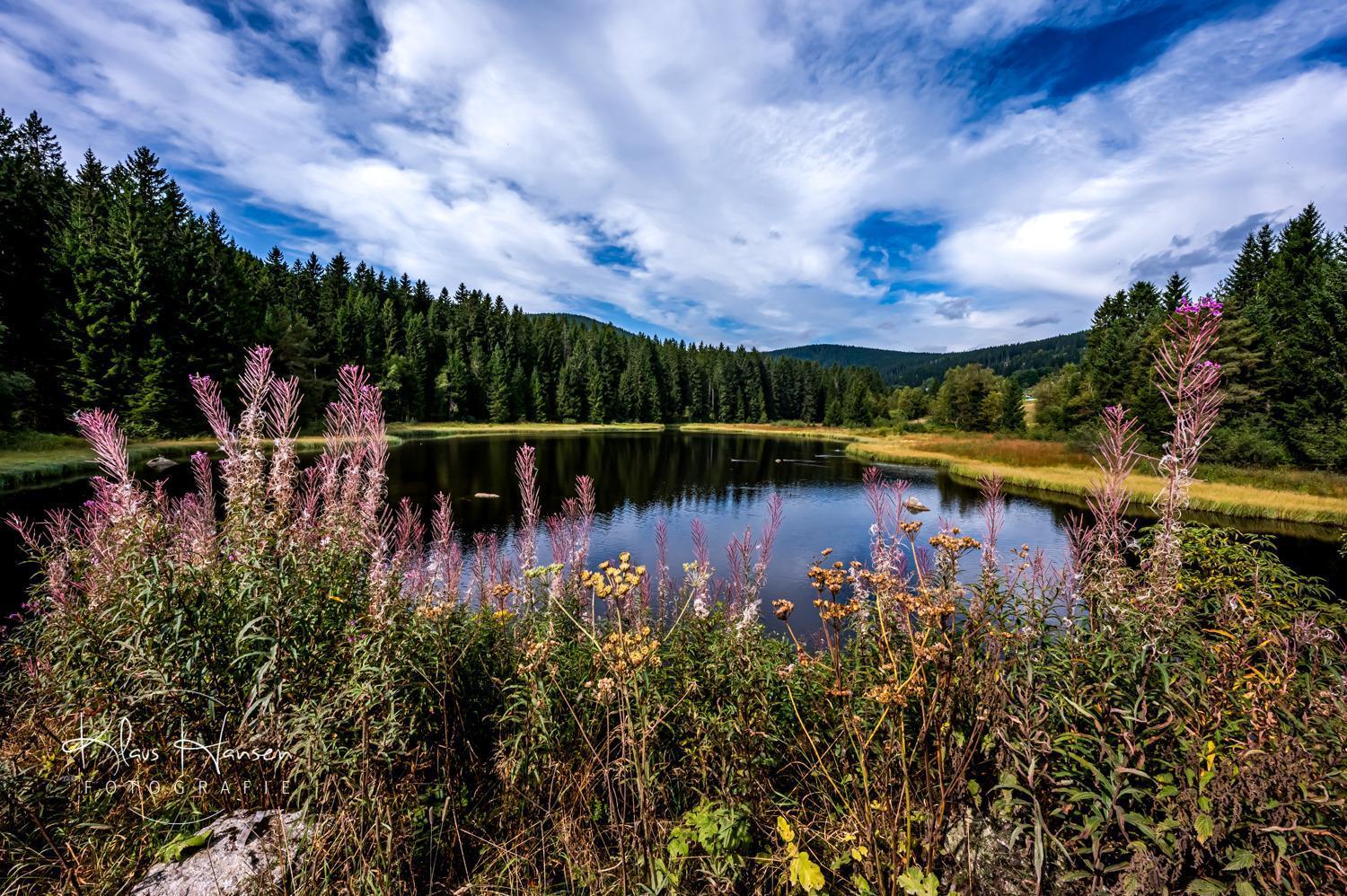 Fewo Sunneschii, Hoechenschwand, Dorf Am Himmel, Sauna Im Haus Διαμέρισμα Εξωτερικό φωτογραφία