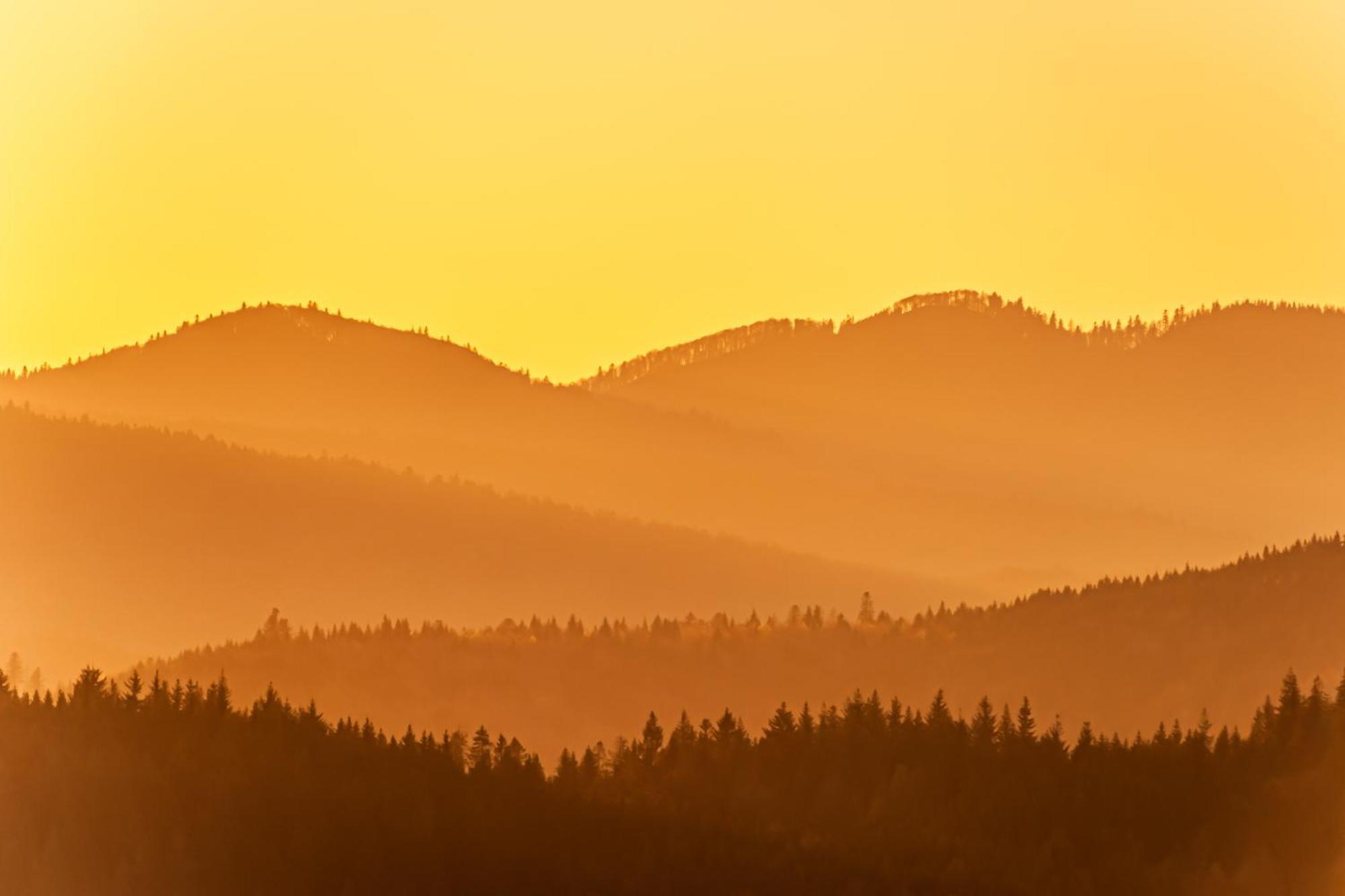 Fewo Sunneschii, Hoechenschwand, Dorf Am Himmel, Sauna Im Haus Διαμέρισμα Εξωτερικό φωτογραφία