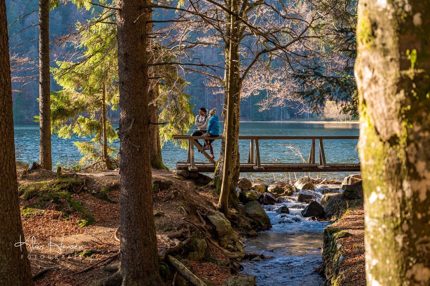 Fewo Sunneschii, Hoechenschwand, Dorf Am Himmel, Sauna Im Haus Διαμέρισμα Εξωτερικό φωτογραφία