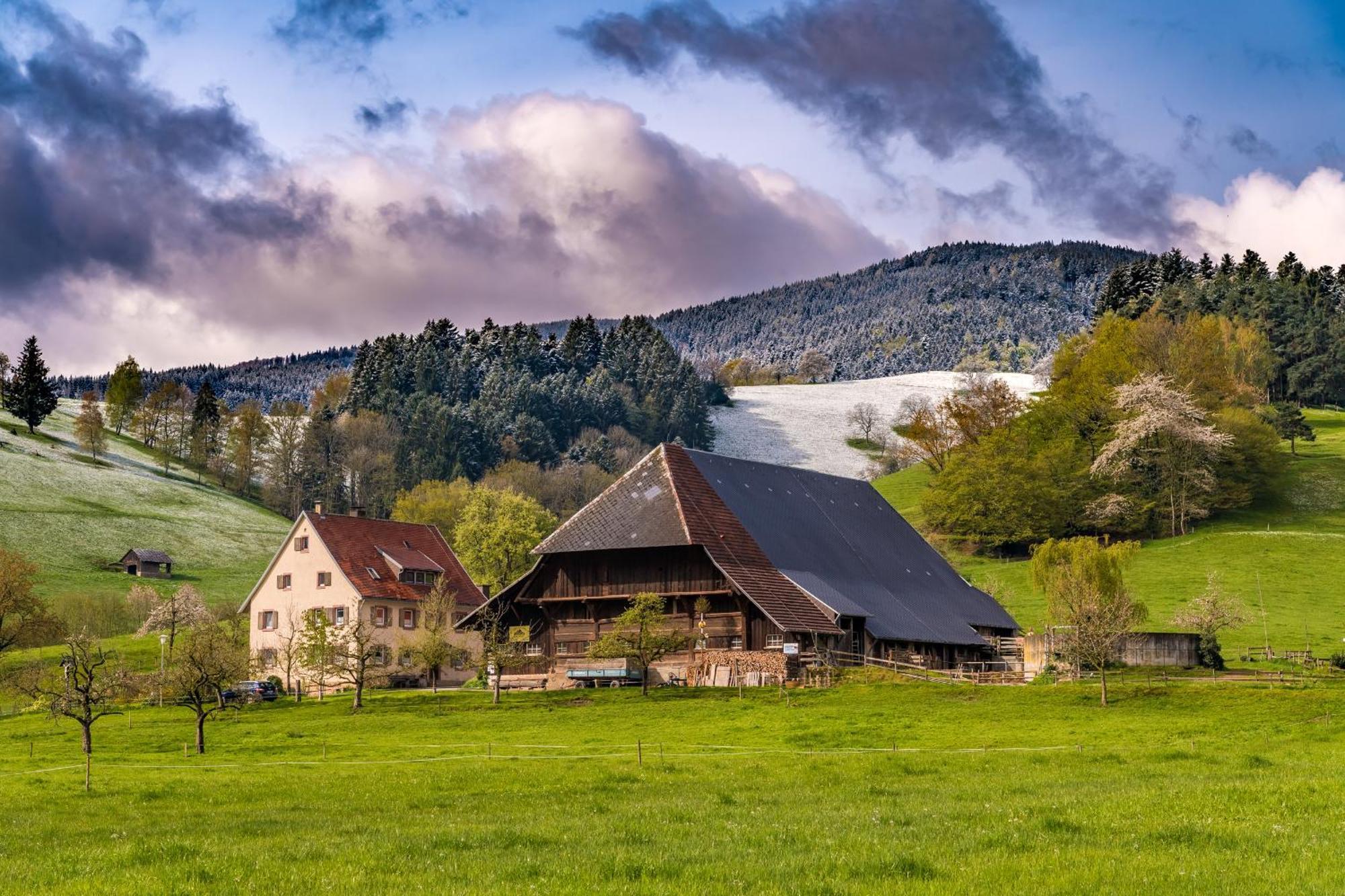 Fewo Sunneschii, Hoechenschwand, Dorf Am Himmel, Sauna Im Haus Διαμέρισμα Εξωτερικό φωτογραφία