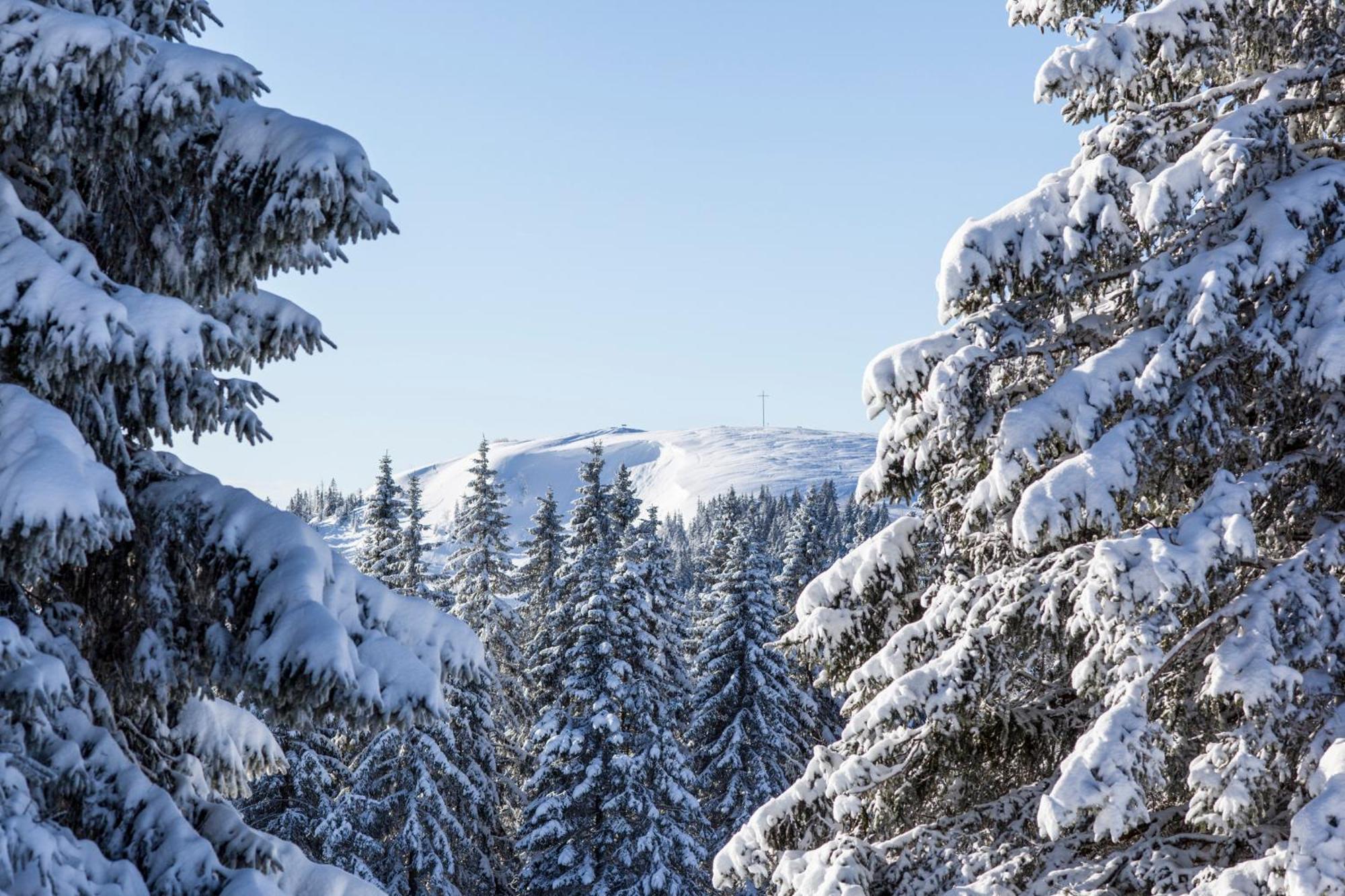 Fewo Sunneschii, Hoechenschwand, Dorf Am Himmel, Sauna Im Haus Διαμέρισμα Εξωτερικό φωτογραφία